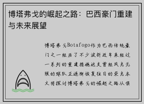 博塔弗戈的崛起之路:巴西豪门重建与未来展望 博塔弗戈的崛起之路:巴西豪门重建与未来展望